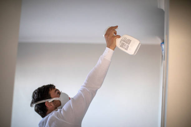 Best Water Damage Restoration  in Chenoa, IL