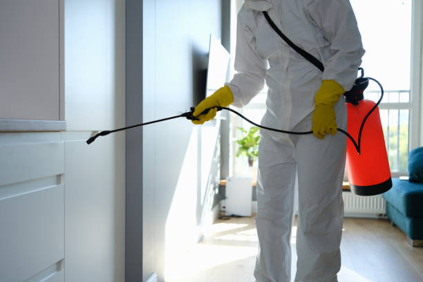 Best Crawl Space Mold Removal  in Chenoa, IL