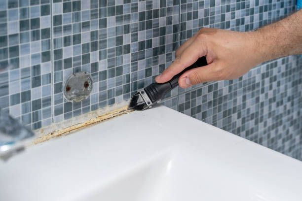 Home Mold Removal in Chenoa, IL