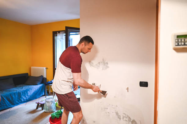 Best Office Mold Removal Services  in Chenoa, IL
